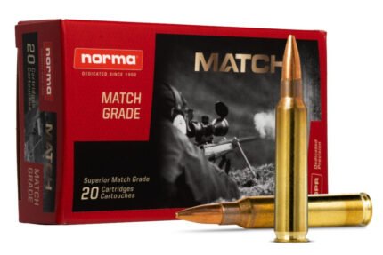 Golden Target | 223 Rem | 77gr | BTHP