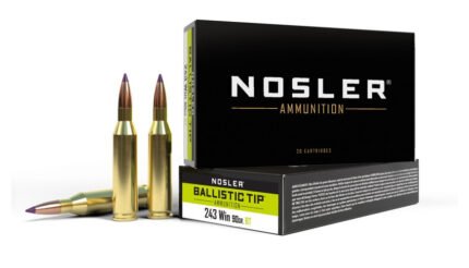 Ballistic Tip | 243 Win | 90gr | BT
